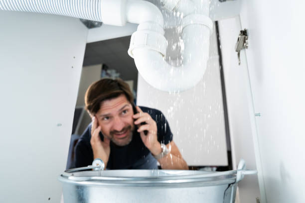 Best Leak Detection Services  in North Massapequa, NY